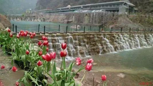 云南昭通市镇雄县山体滑坡救援工作加紧展开，已造成25人遇难19人失联
