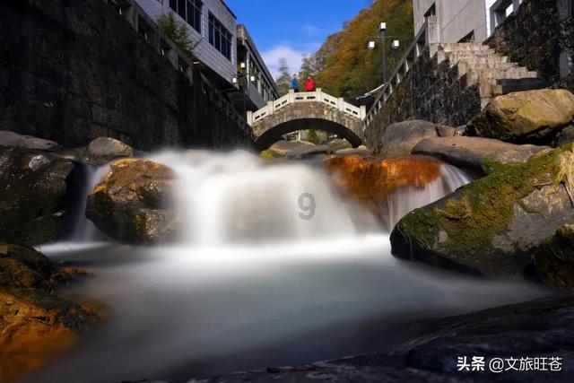拯救精灵的土地5